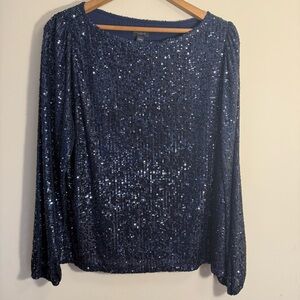 Ann Taylor Navy Sequin Blouse Large